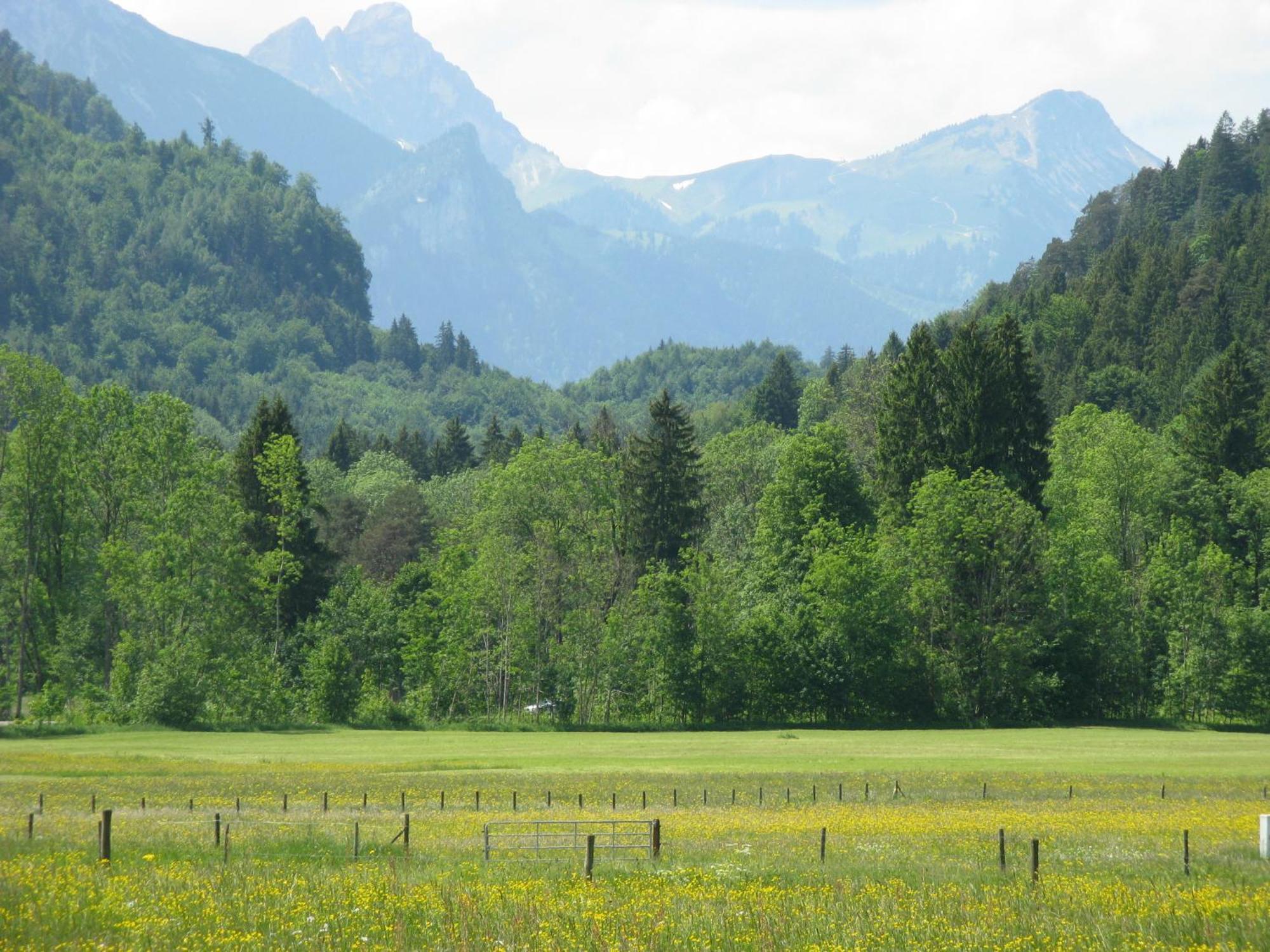 Alpenhotel Allgaeu Хоэншвангау Экстерьер фото
