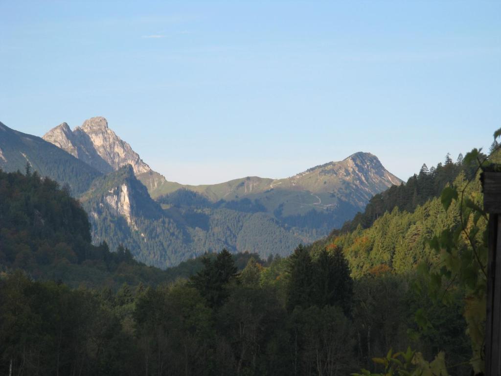 Alpenhotel Allgaeu Хоэншвангау Экстерьер фото